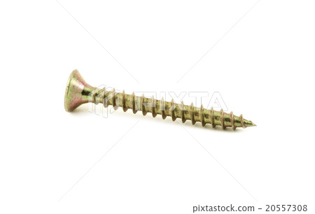 Screw 20557308