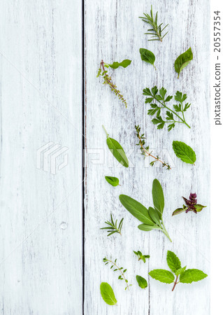 Various fresh herbs from the garden . 20557354