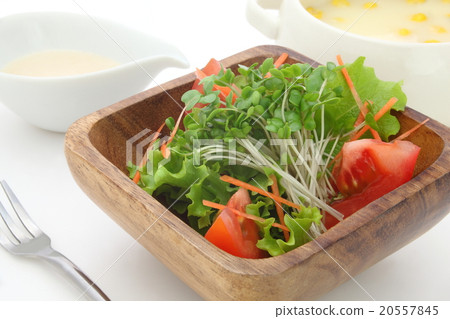沙拉西蘭花發芽 20557845