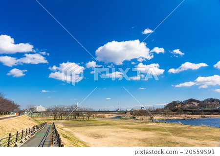 東京多摩川河床（朝鮮橋附近） 20559591
