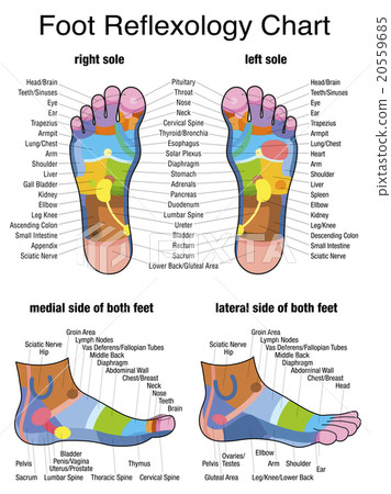 Reflexology Plantar Sole Profile Feet 20559685