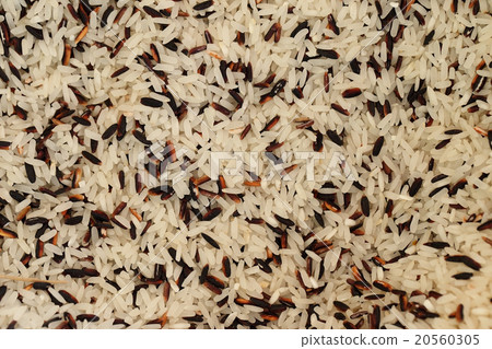 coarse rice or half polished rice background. coarse rice or half polished rice background. 20560305