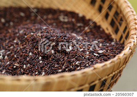 Coarse rice or half polished rice background. 20560307
