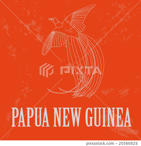Papua New Guinea. Paradise bird.  20560828