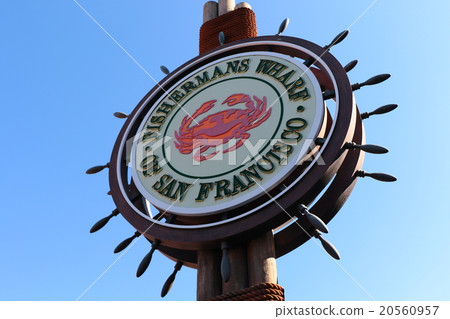 bay, auburn, reddish brown 20560957