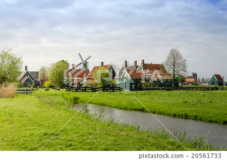 Windmill and rural houses in Zaanse Schans 20561733