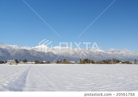 Shinshu冬天Azumino和Azuma冬天風景觀看北阿爾卑斯山Kenkaku dake多雪的領域和阿爾卑斯廣角 20561788