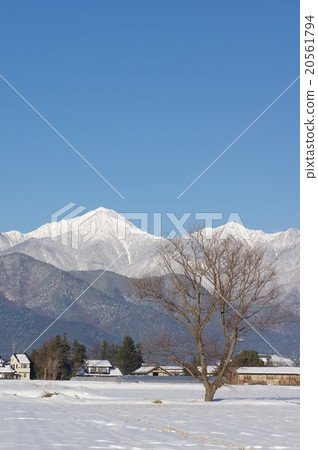 Azumino在冬天在信州和Azuma冬季景觀觀看北阿爾卑斯山幻想山Fuyuki和Kokonoe山垂直 Azumino在冬天在信州和Azuma冬季景觀觀看北阿爾卑斯山幻想山Fuyuki和Kokonoe山垂直 20561794