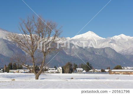 Shinshu winter Azumino and Azumino winter landscape watching Northern Alps Kenkaku dake Fuyuki and Hoshino dake Shinshu winter Azumino and Azumino winter landscape watching Northern Alps Kenkaku dake Fuyuki and Hoshino dake 20561796