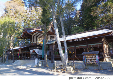 信州Su訪Su訪大社Su訪神社總部Shimosha Aki Shrine Hall Tachikawa Tomibe尊貴的雕塑水平俯視圖 信州Su訪Su訪大社Su訪神社總部Shimosha Aki Shrine Hall Tachikawa Tomibe尊貴的雕塑水平俯視圖 20563299