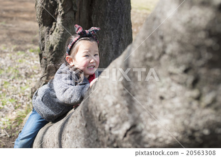 爬樹的女孩 20563308