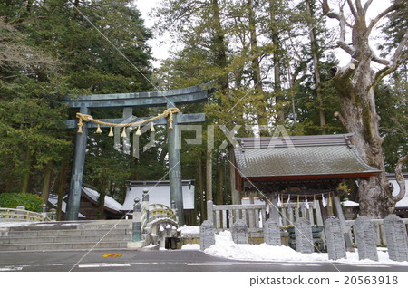 Shinshu Suwa Suwa Taisha Suwa Shrine's headquarters Shinto shrine (Kamisha) Torii and handwater company side 20563918