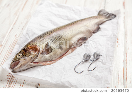 Fresh trout on white wood 20565470