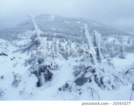 Winter·Kita Yatsugatake Winter·Kita Yatsugatake 20565877