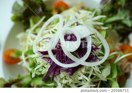 Close up of fresh vegetable salad. Close up of fresh vegetable salad. 20566731