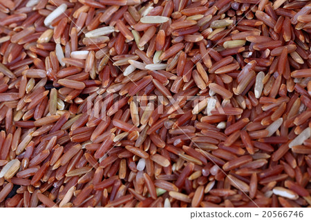 coarse rice or half polished rice background. 20566746