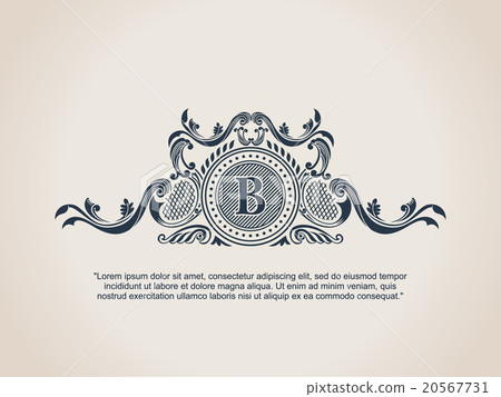 Vintage Decorative Elements Flourishes 20567731