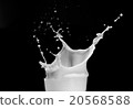 milk splash on black background 20568588