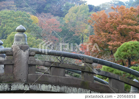 鎌倉鶴岡八幡宮 20568858