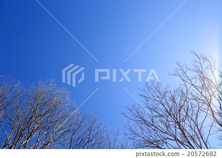 Winter sky 20572682