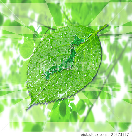 Japan map of leaves 20573117