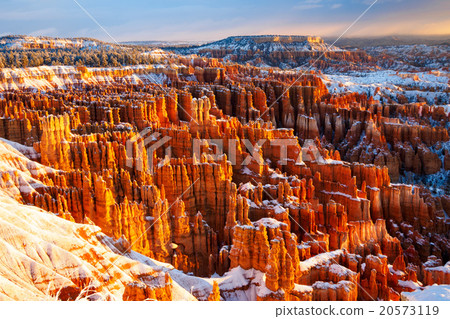 winter morning / Bryce Canyon National Park, Utah, 20573119