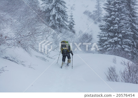 Winter hike Winter hike 20576454