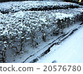 雪在路邊 20576780