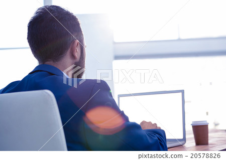 Rear view of male professional working on laptop Rear view of male professional working on laptop 20578826