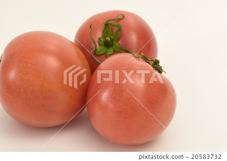 番茄常綠蔬菜 番茄常綠蔬菜 20583732