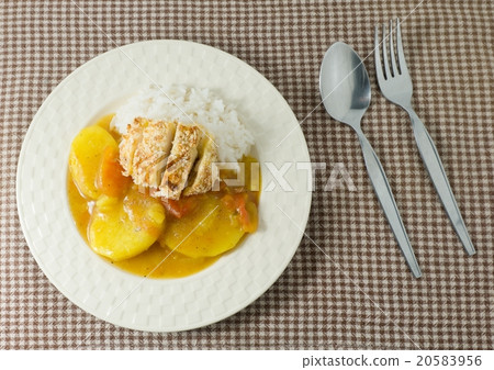 Japanese Curry and Tonkatsu with Boiled  Rice 20583956