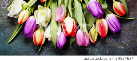 Tulips on a wooden background 20584634