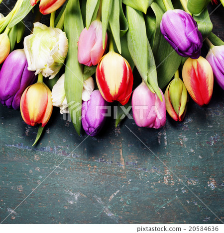 Tulips on a wooden background 20584636