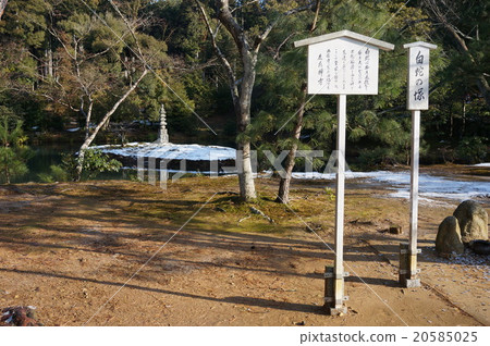 Kyoto "Kinkakuji" (Kanonji) Islands floating in the pond in the precincts: White mackerels 20585025