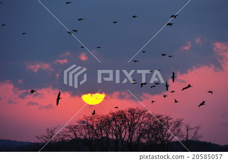 Sunset and Magan 20585057