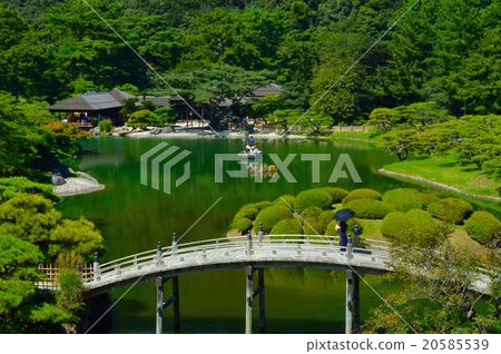 Japanese garden 20585539