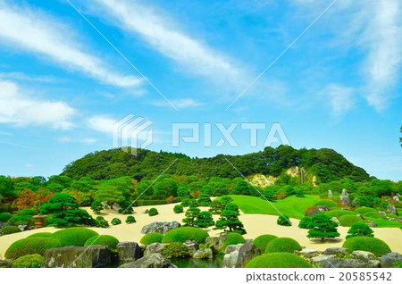 Japanese garden 20585542