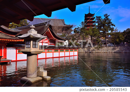 嚴島神社 20585543
