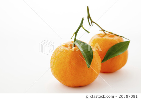 Two Ponkan with leaves 20587081