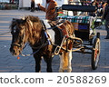 Donkey Taxi 20588269