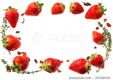  草莓和草本框架草莓和草本的框架 20588450