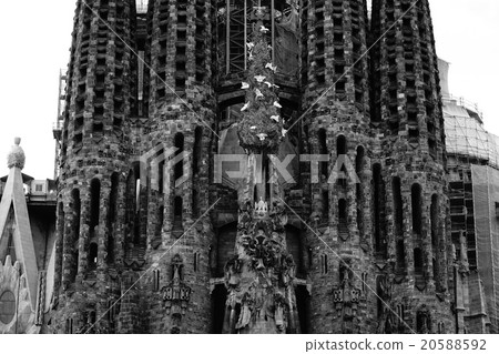 Black and white Sagrada Familia 20588592