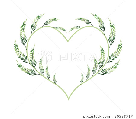 Lovely Green Vine Leaves in Heart Shape 20588717