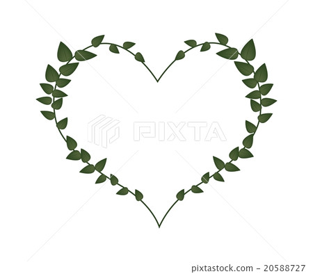 Green Vine Leaves in Lovely Heart Shape Green Vine Leaves in Lovely Heart Shape 20588727