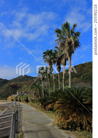 海灘 海灘 20590218