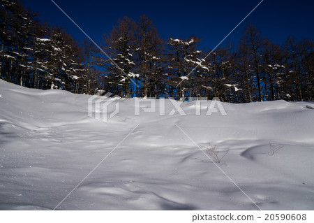 Landscape in winter mountain 20590608