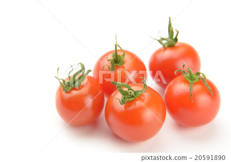 5 Tomatoes _ tomato 20591890