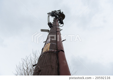 Telepole of wood 20592116