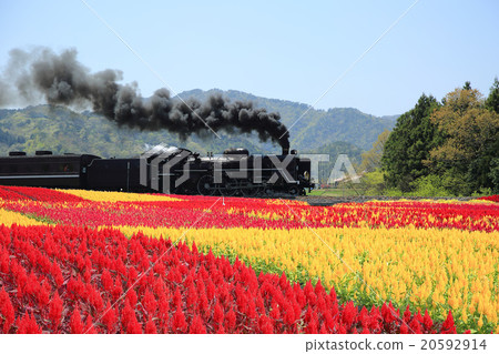 本地線路 20592914