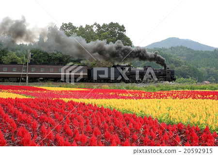 本地線路 20592915